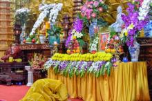 Tăng đoàn và Phật tử chùa Giác Ngộ tiếp tục tụng kinh, tưởng niệm đức Đệ tam Pháp chủ GHPGVN - Đại lão Hòa thượng Thích Phổ Tuệ
